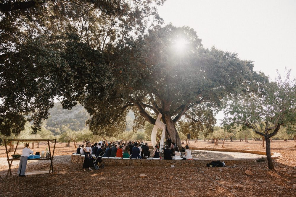 Hochzeit auf Mallorca unter einem Olivenbaum